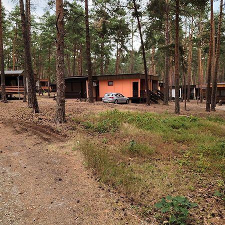 Chatky Pod Bornym Machovo Jezero Doksy  Buitenkant foto