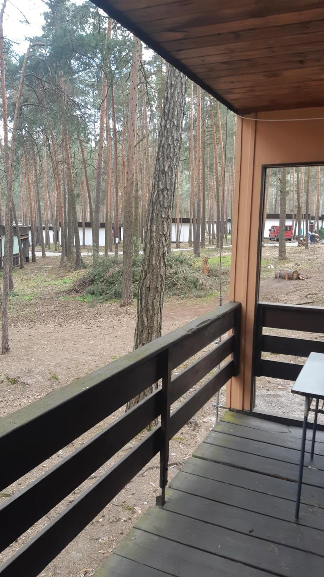 Chatky Pod Bornym Machovo Jezero Doksy  Buitenkant foto